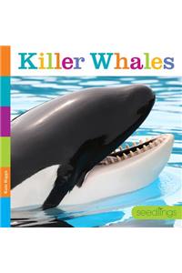 Killer Whales