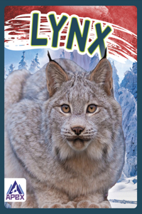 Wild Cats: Lynx