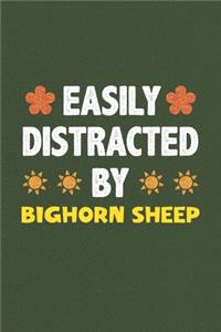 Easily Distracted By Bighorn Sheep