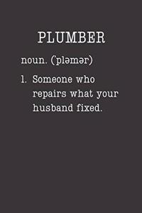 Plumber: 2019 - 2020 Academic Planner - An 18 Month Weekly Calendar - July 2019 - December 2020 (Funny Definition)