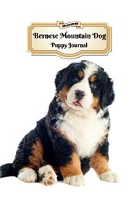 2020 Bernese Mountain Dog Puppy Journal