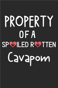 Property Of A Spoiled Rotten Cavapom