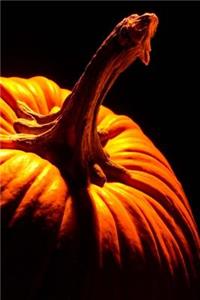 2019 Weekly Planner Pumpkin Artistic Autumn Fall Design 134 Pages