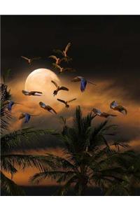 Nature Forestry Natural Forest Trees Rainforest Notebook