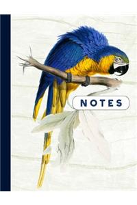 Notes