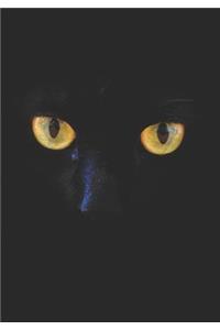 2019 Appointment Calendar: 2019 Daily Planner Goal Planner Black Cat