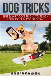 Dog Tricks