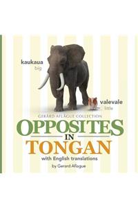 Opposites in Tongan