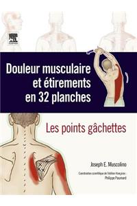 Douleur Musculaire Et Étirements En 32 Planches