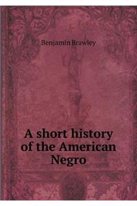 A Short History of the American Negro