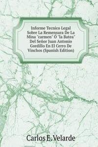 Informe Tecnico Legal Sobre La Remensura De La Mina 