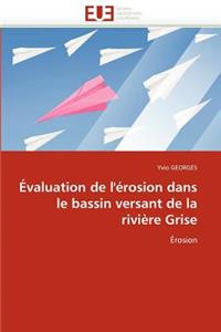 Évaluation de l''érosion Dans Le Bassin Versant de la Rivière Grise