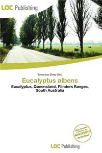 Eucalyptus Albens