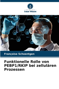 Funktionelle Rolle von PEBP1/RKIP bei zellulären Prozessen