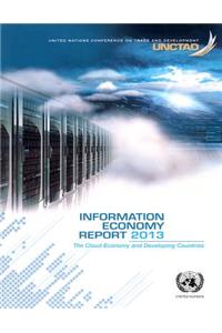 Information economy report 2013