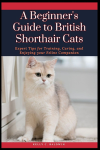 Beginner's Guide to British Shorthair Cats