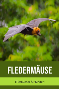 Fledermäuse (Tierbücher für Kinder)