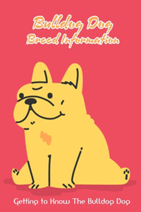 Bulldog Dog Breed Information