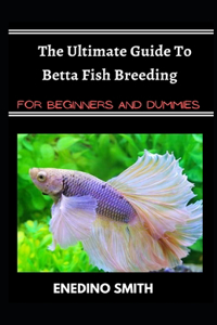 Ultimate Guide To Betta Fish Breeding For Beginners And Dummies