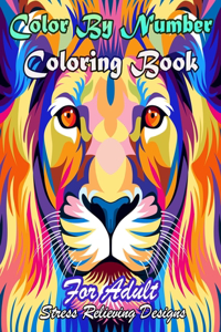 Color By Number Coloring Book
