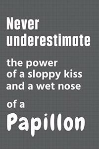 Never underestimate the power of a sloppy kiss and a wet nose of a Papillon