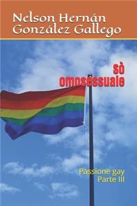 Sò omosessuale