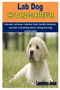 Lab Dog the Labrador Retriever