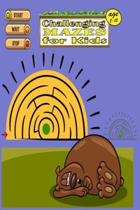Challenging Mazes for Kids age 8-12