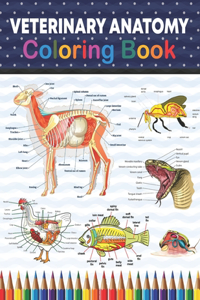 Veterinary Anatomy Coloring Book