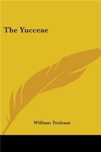 The Yucceae