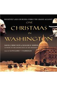 One Christmas in Washington