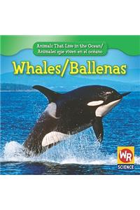 Whales / Ballenas