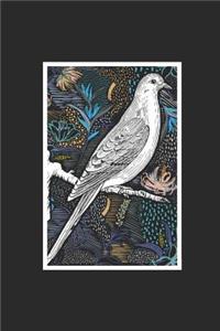 Pigeon Floral