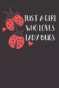 Ladybug Notebook