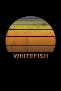 Whitefish