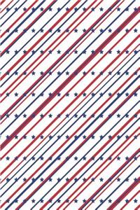 Patriotic Pattern United States of America 63