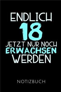 Endlich 18 Notizbuch