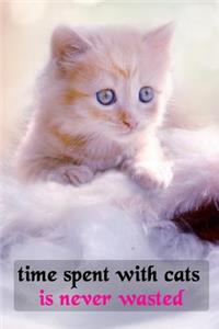 Time Spent With Cats Is Never Wasted