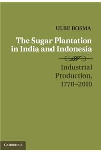 Sugar Plantation in India and Indonesia