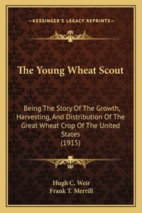 Young Wheat Scout