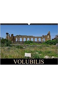 Volubilis 2018