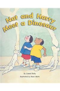 Rigby Flying Colors: Individual Student Edition Orange Nat and Harry Meet a Dinosaur