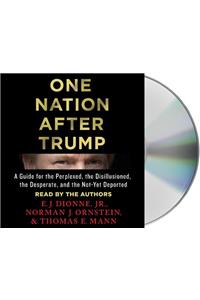 One Nation After Trump