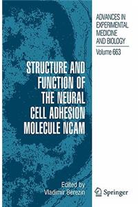 Structure and Function of the Neural Cell Adhesion Molecule NCAM