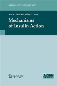 Mechanisms of Insulin Action