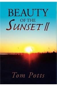Beauty of the Sunset II