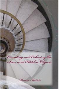 Counting and Coloring the Seen and Hidden Objects
