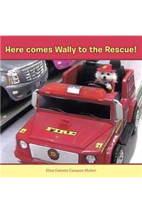 Here Comes Wally to the Rescue!