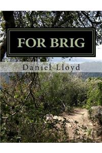 For BRIG