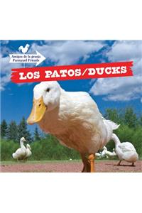 Los Patos / Ducks